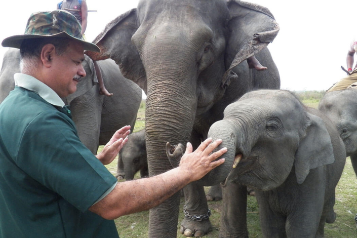 Dr Sarma with elephants