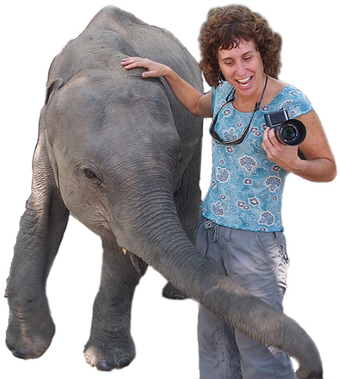 Janie Chodosh with elephant