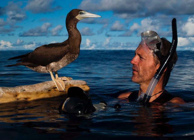 Wild life book, man with pelican