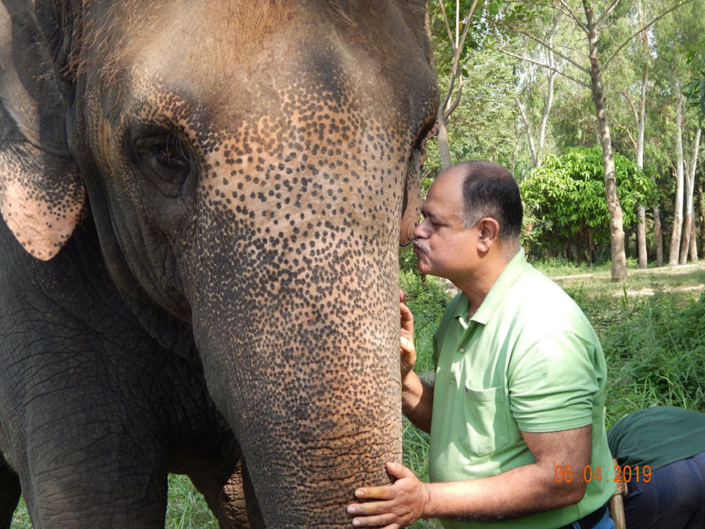 Indian elephant doctor Sharma